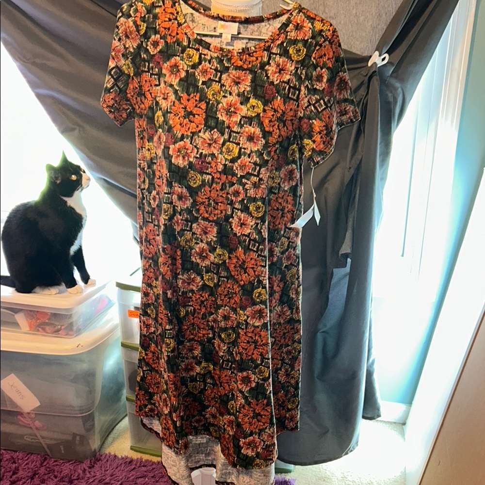 HP🎊Floral Lularoe Carly Dress